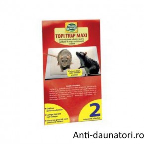 Capcana adeziva pentru sobolani Mouse Trap Maxi Top 35