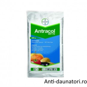 Fungicid de contact Antracol 70 wp 200 gr.